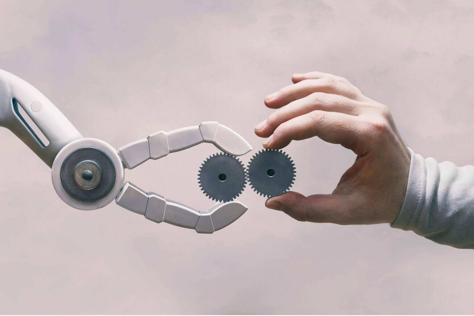 Our Services - Flint International